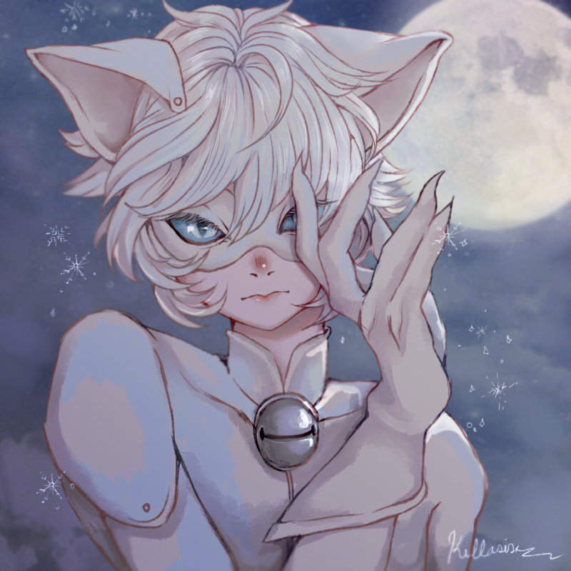 Chat Blanc By Killasisa On Deviantart Chat Blanc By Killasisa On Deviantart