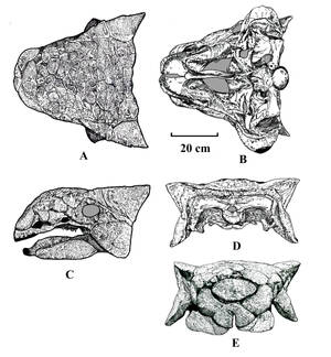 Paleo Art