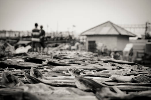 Jakarta Fish Market