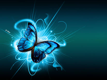 Blue Butterfly