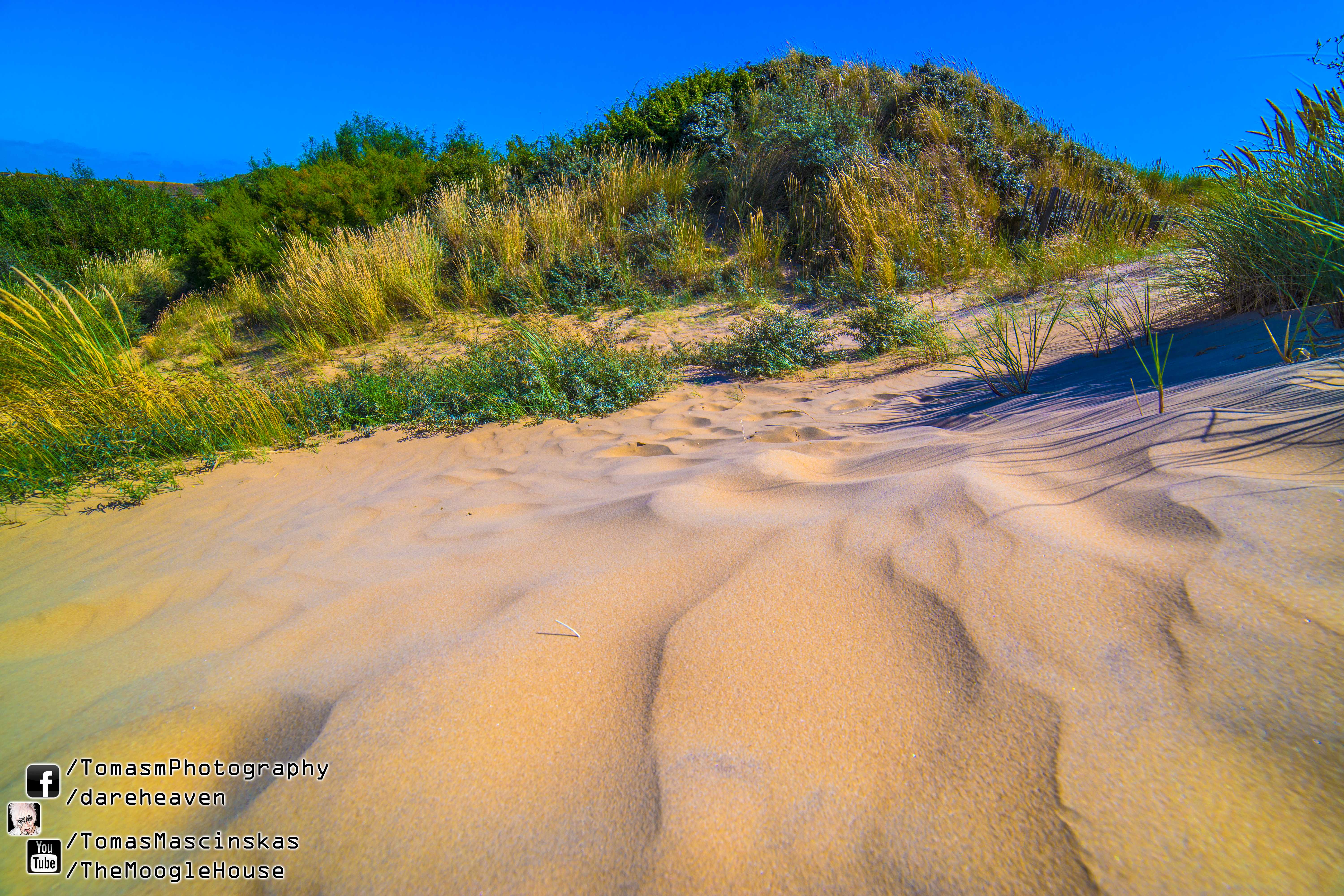 Rye Beach 2013.08.18