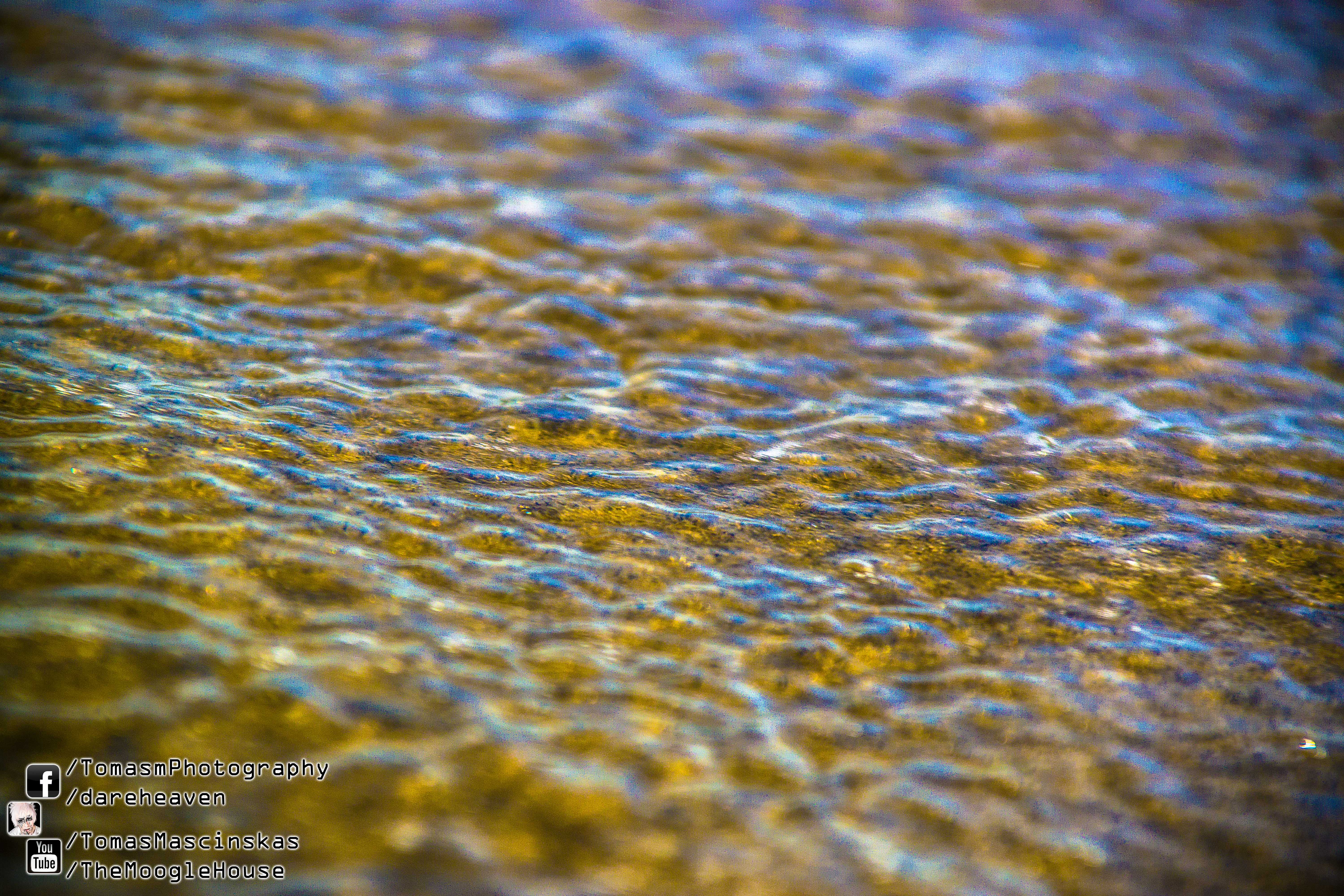 Folkenstone Beach 2013.08.26  by Tomas Mascinskas