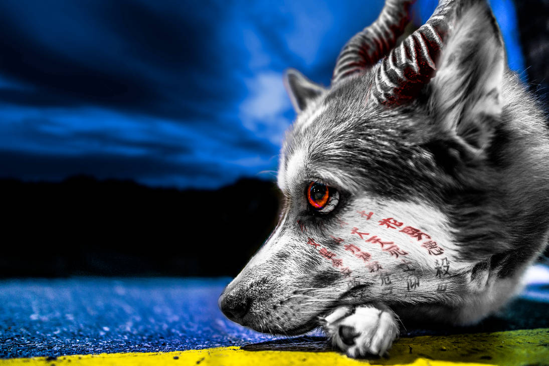Infected Husky by TMProjection