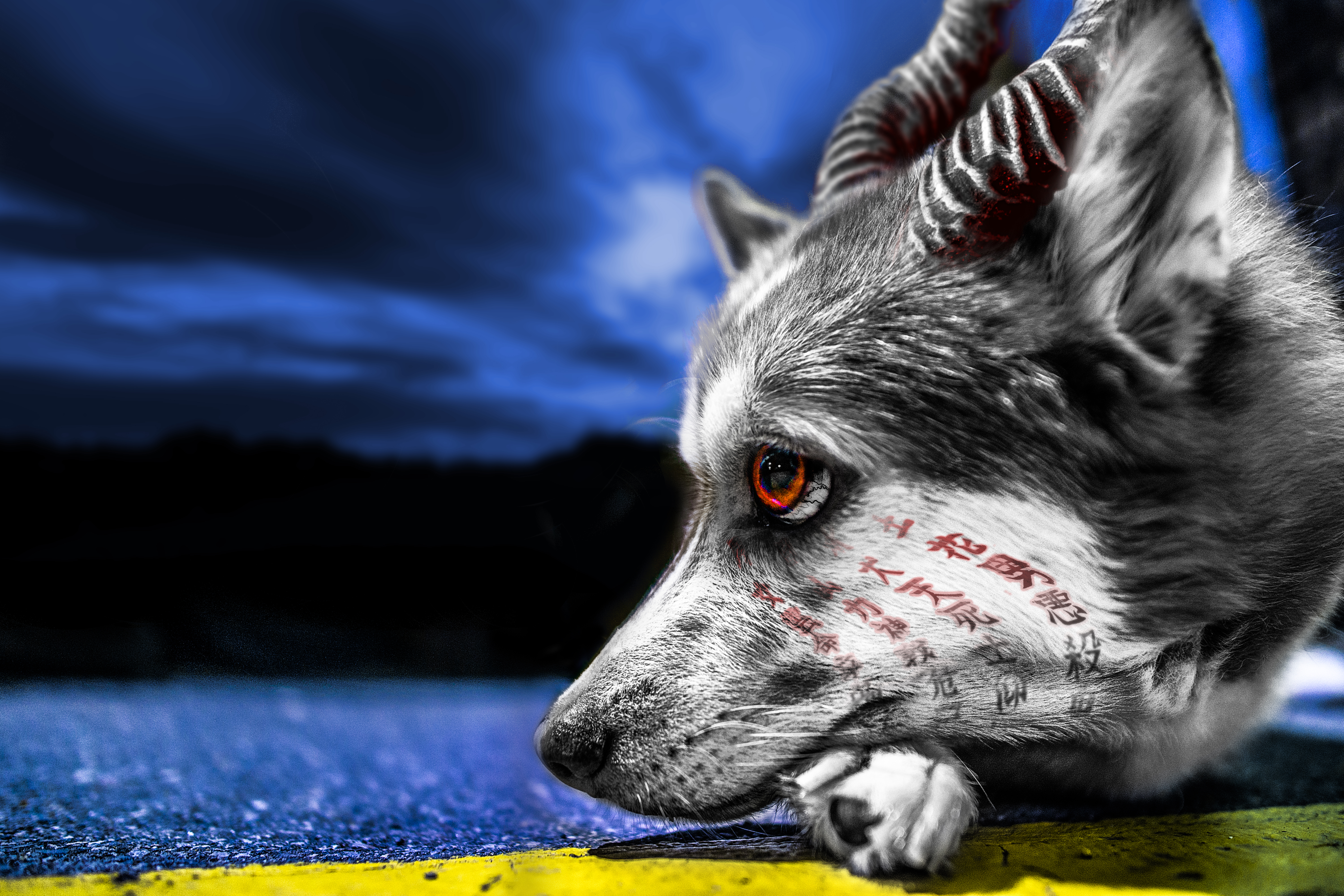 Infected Husky by TMProjection