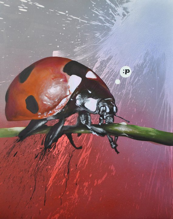 ladybug