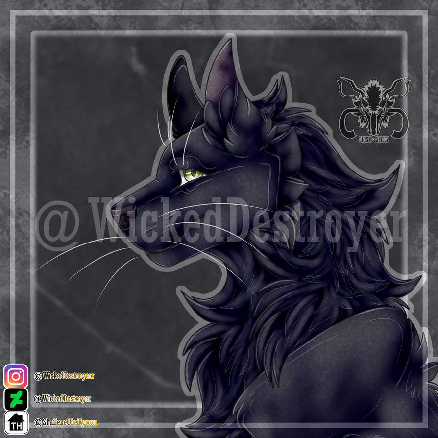 ShadowField by WickedDestroyer on DeviantArt