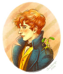 Newt Scamander