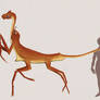 Dracocentaurus alepidis