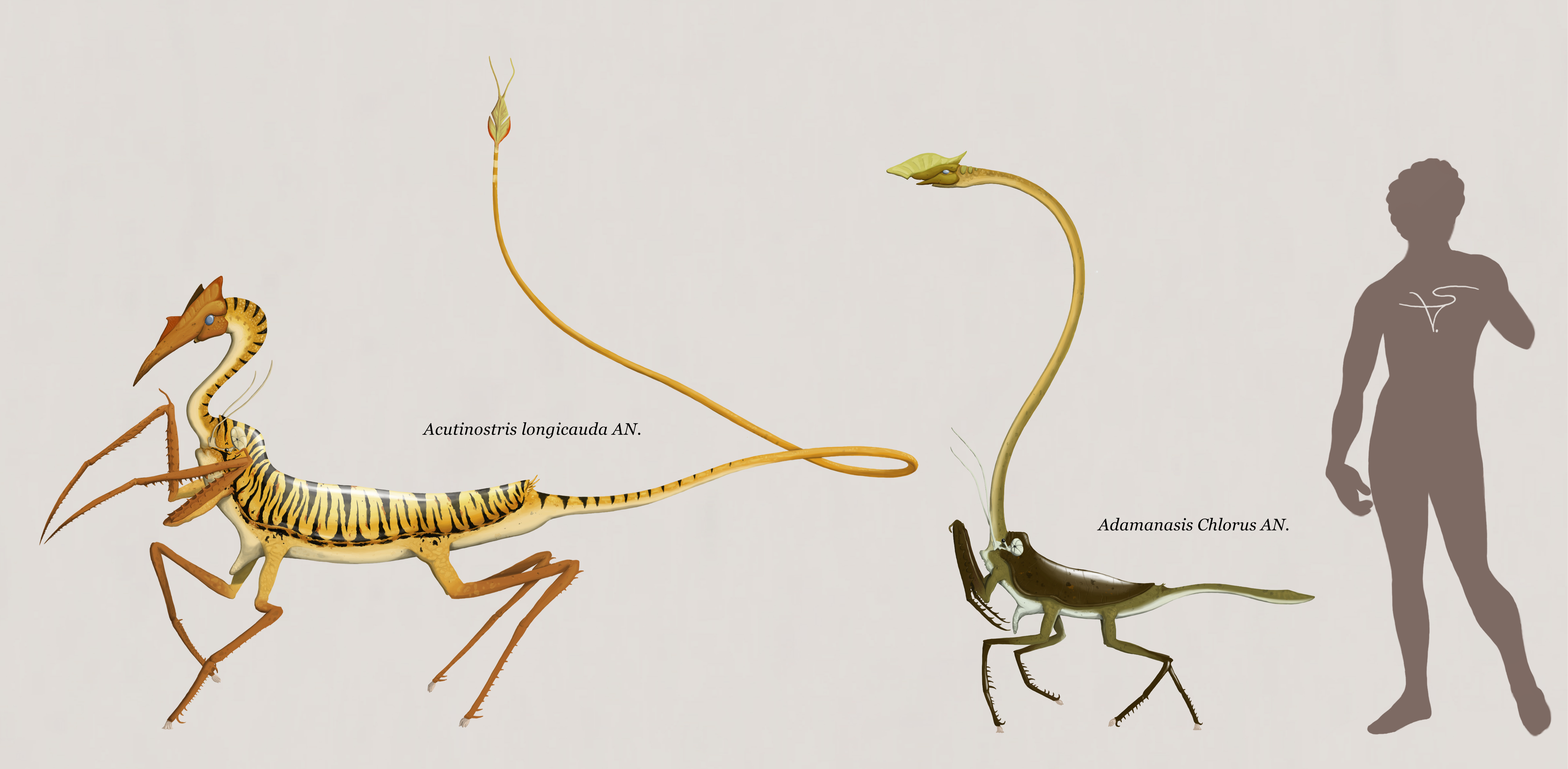 Centa Insects Centaurosoma I by Sanrou on DeviantArt
