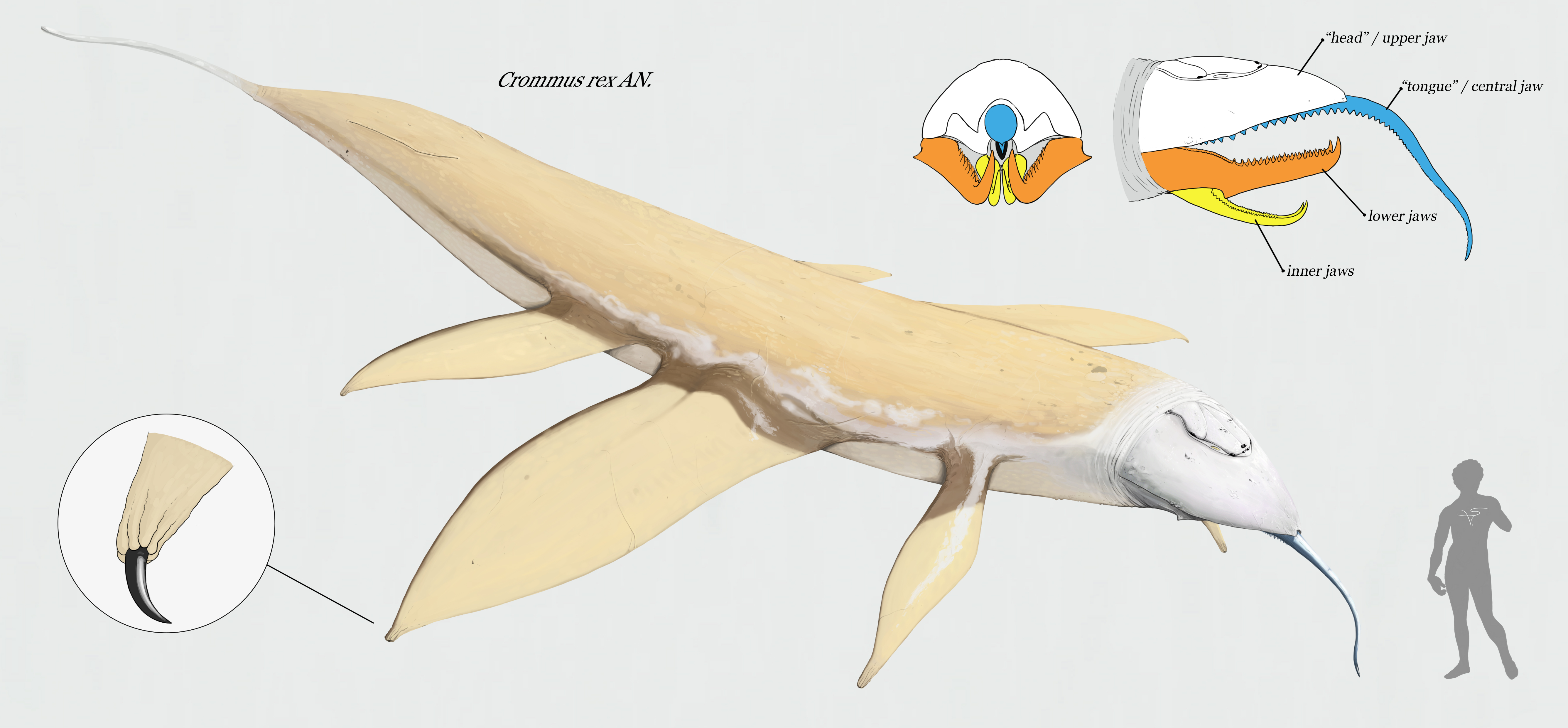 Crommus rex by Sanrou