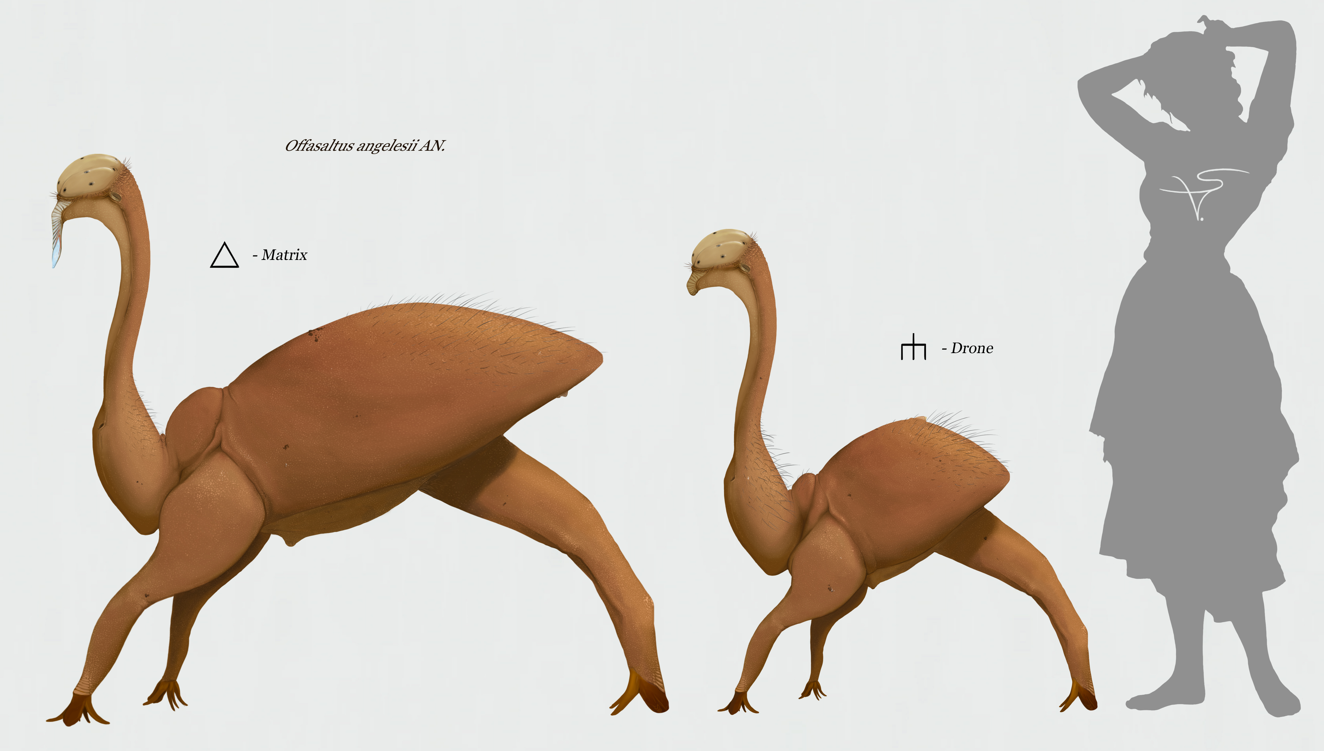 Offasaltus angelesii by Sanrou