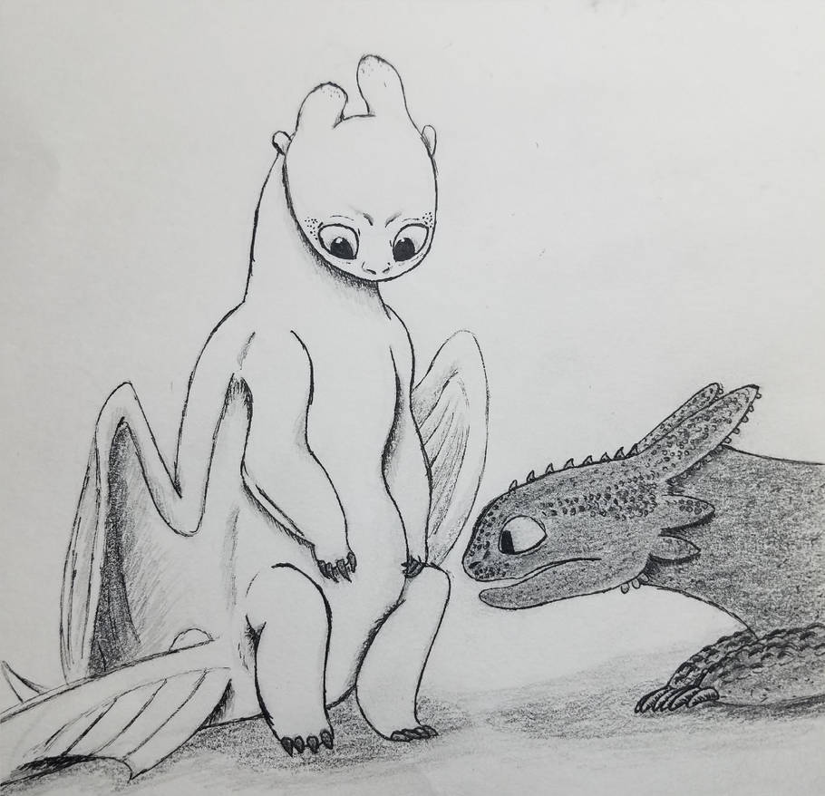 24+ Toothless And Light Fury Drawing
