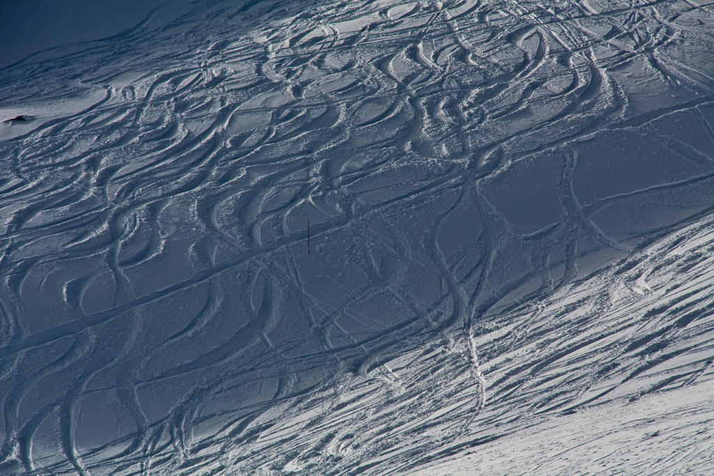 Traces in the snow