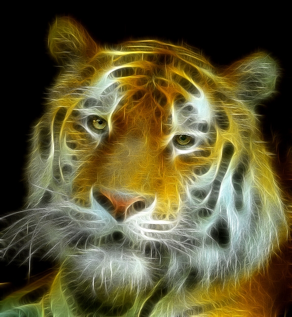 Fractal-Tiger