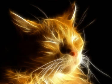 Fractal-Cat IV