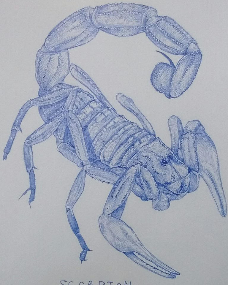 Scorpion