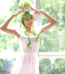 AFA11 - Shaymin Gijinka