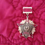 VVMVD Medal Front
