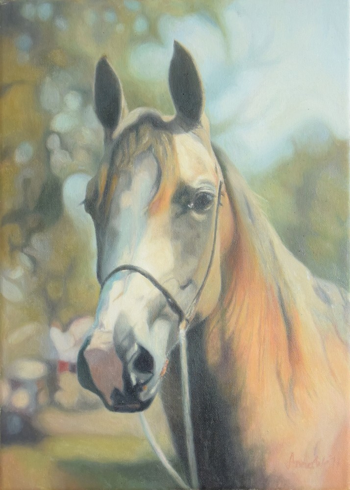 portrait stallion 2