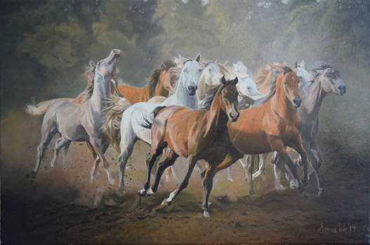 herd of horses