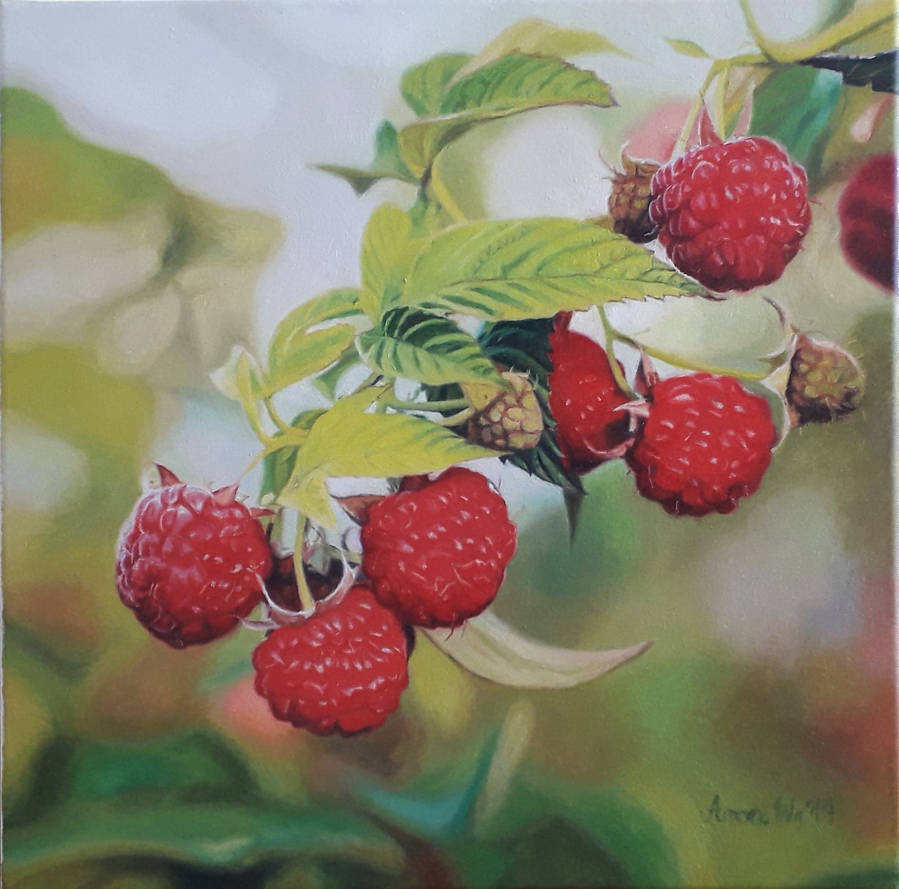 raspberries by anna36 on DeviantArt
