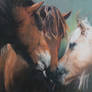 Ponies (Kisses)