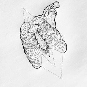 Explore the Best Ribs Art | DeviantArt