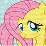 Fluttershy quotes