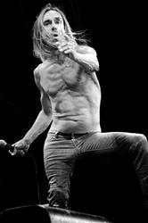 Iggy Pop -