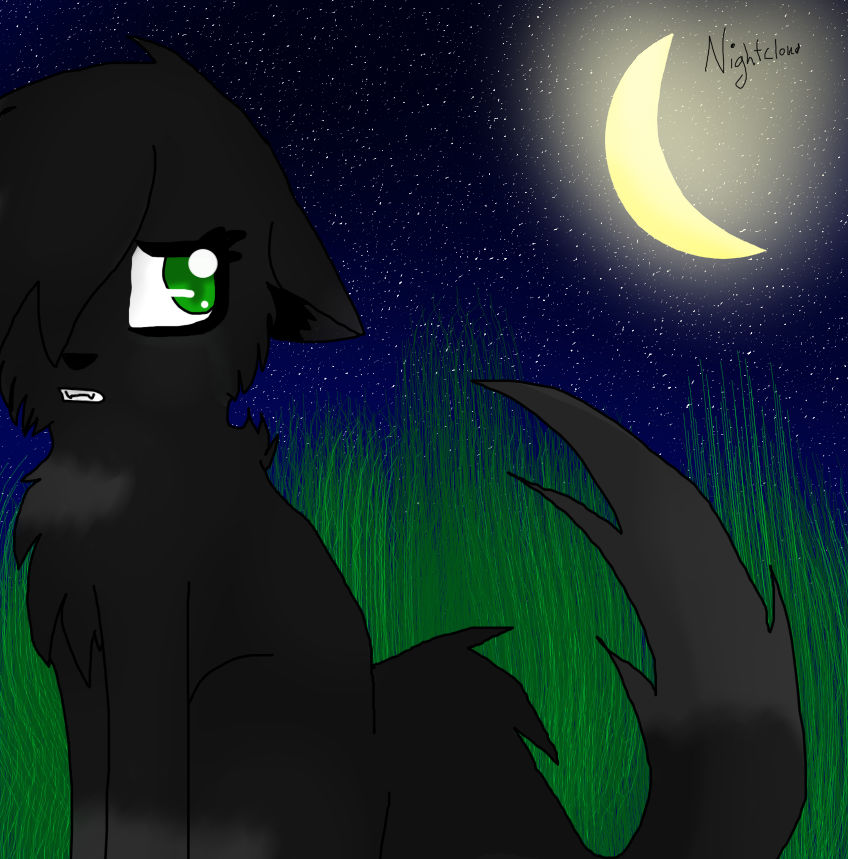 nightcloud's heartbreak by pk-kill on DeviantArt