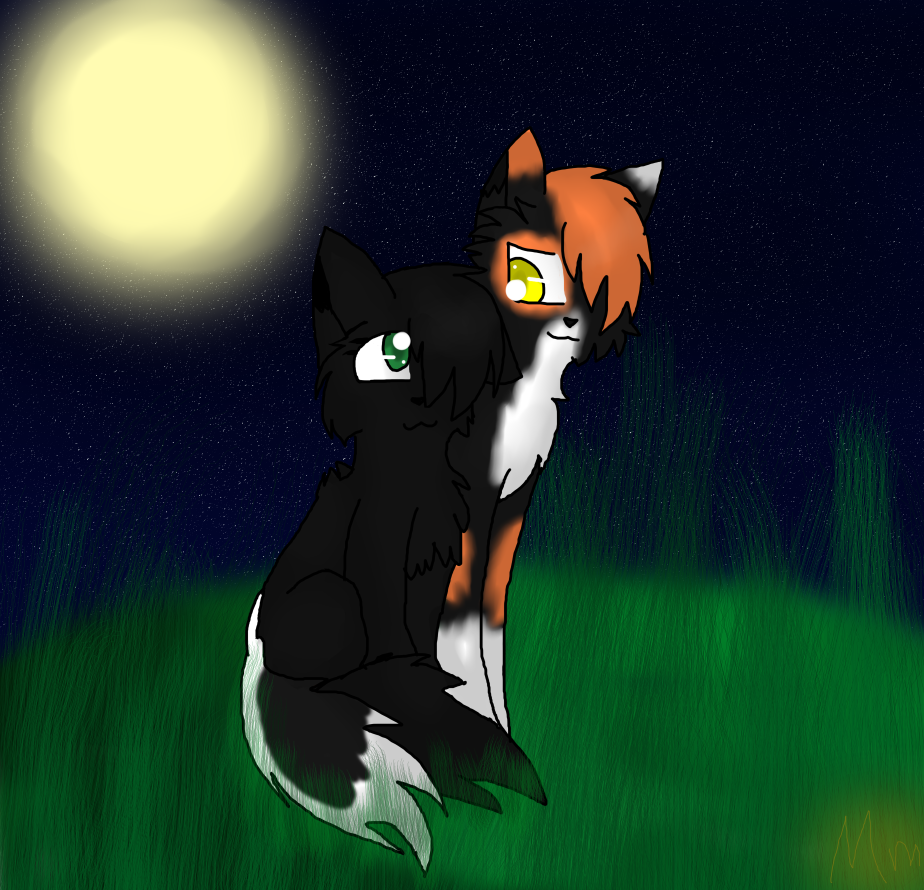 Hollyleaf and Sol