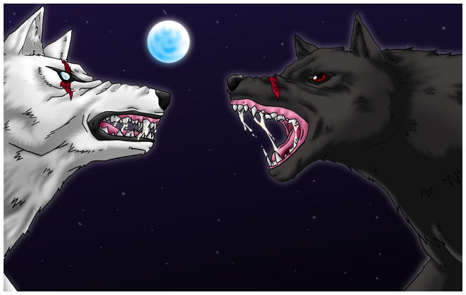 .:Wolf Fight: Shiro VS Kuro:.