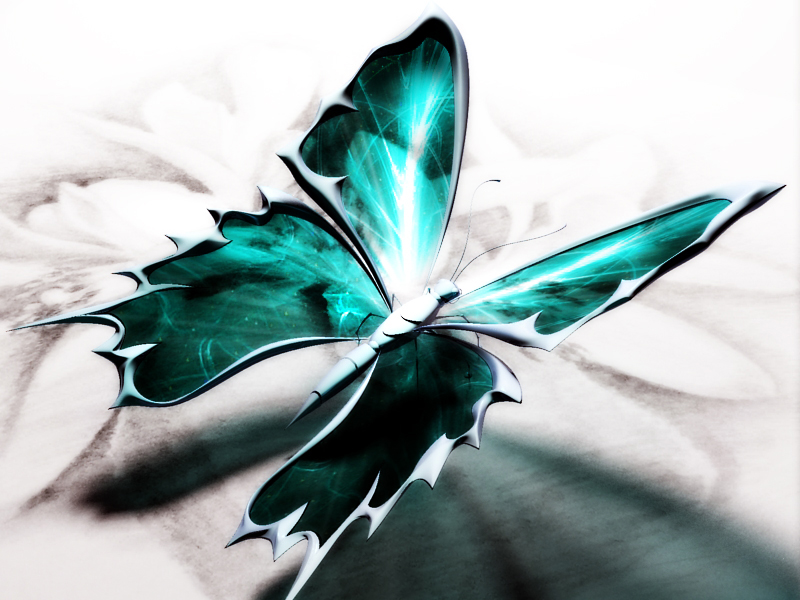 Butterfly