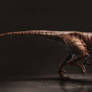 Velociraptor Antirrhopus