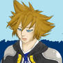 Kingdom Hearts 2 Sora