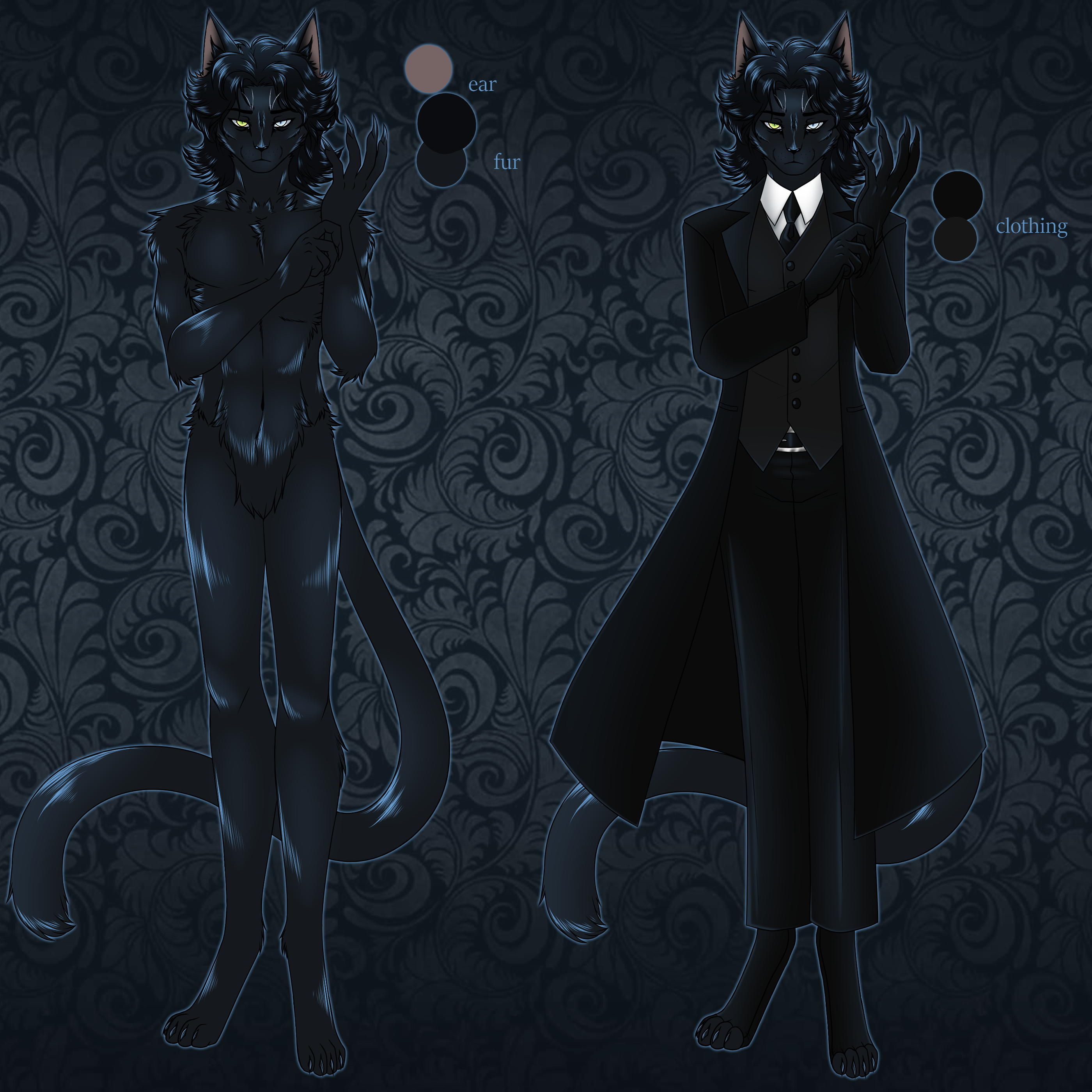 Black cat deals furry