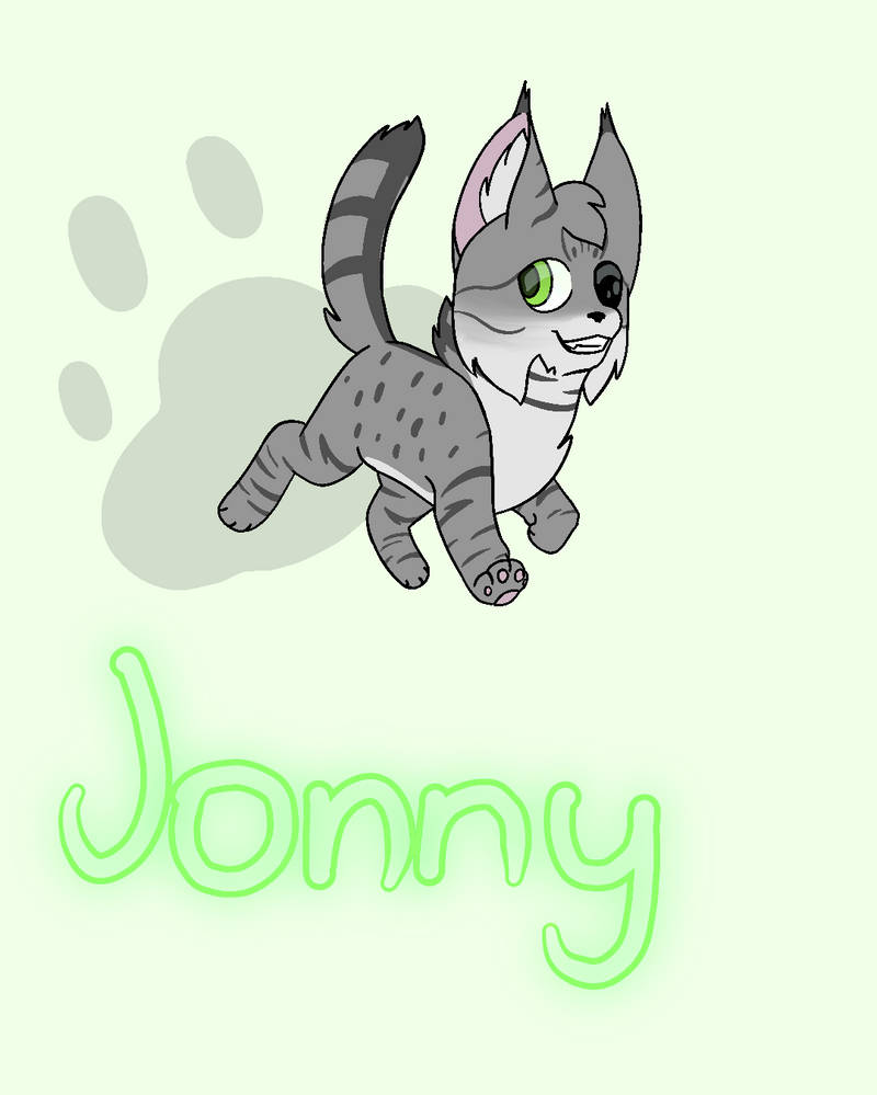 Johnny Razor Cat My cat Jonny by stupedhooman on DeviantArt