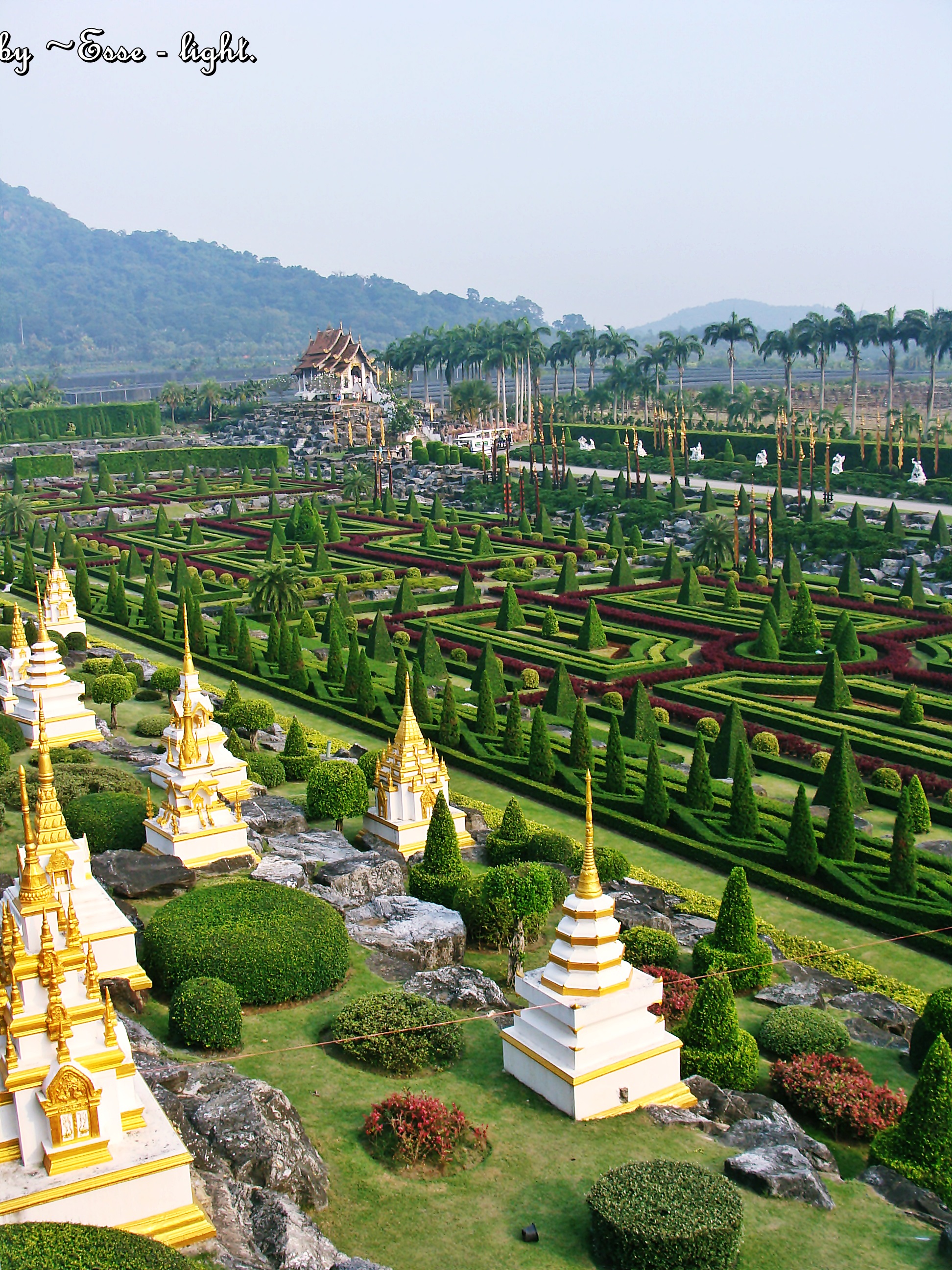 Nong Nooch.