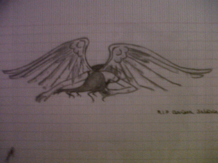 Broken Wings of Fallen Angel...