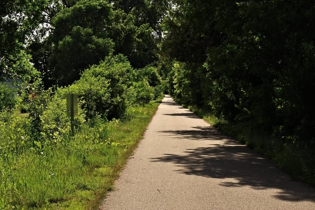 path way by pioneeringeagle501 on DeviantArt