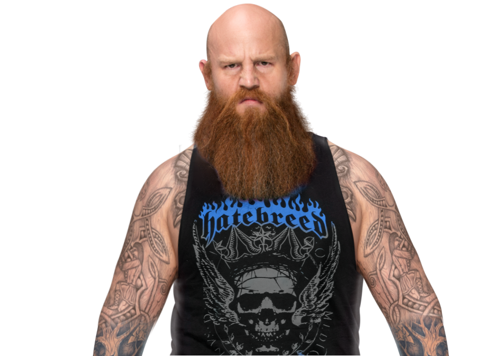 WWE Erick Rowan PNG by wwe1pctgrm on DeviantArt