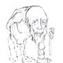 Water Grandfather Draw