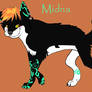 Wolf Midna