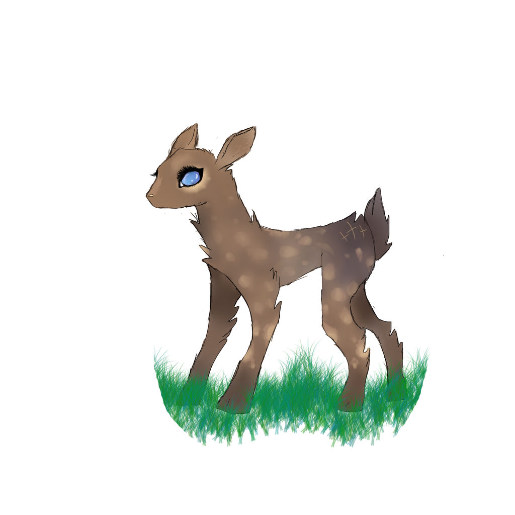 Dik Dik