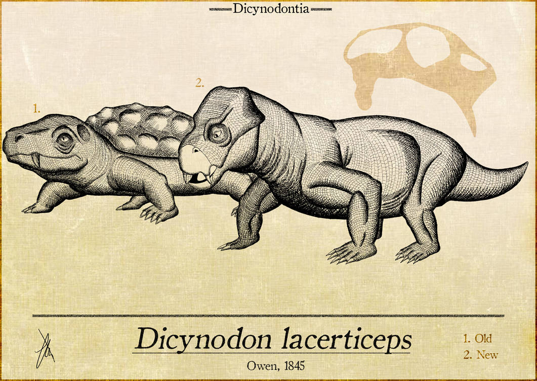 Dicynodon old VS new by Demigod64 on DeviantArt