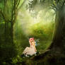 Enchanted Fairy-Tale