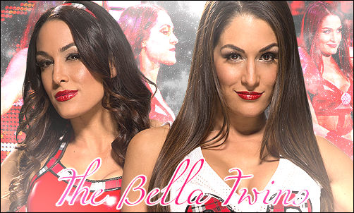 The Bella Twins: Total Divas