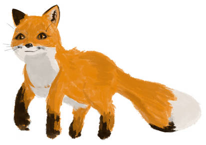 The Fox From my Dreams