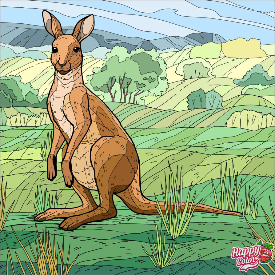 Kangaroo by PPG2009 on DeviantArt