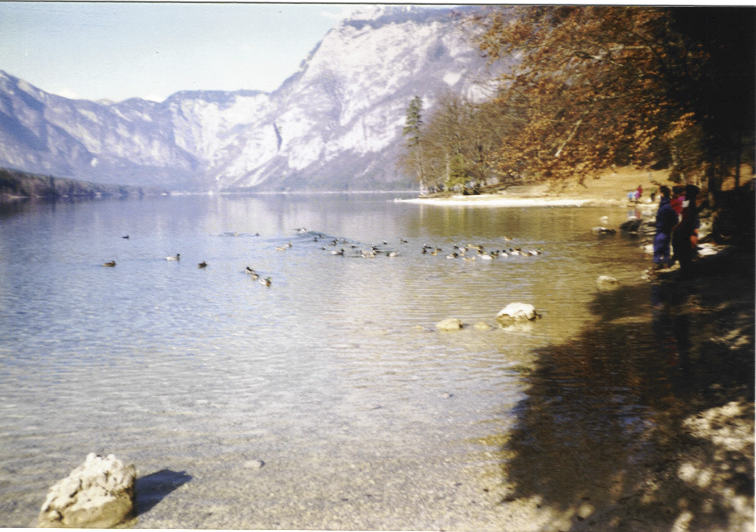 bohinj_stock6